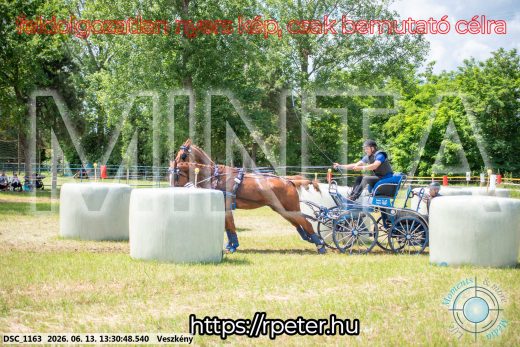Mintakép 20260613-990