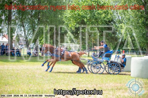 Mintakép 20260613-991