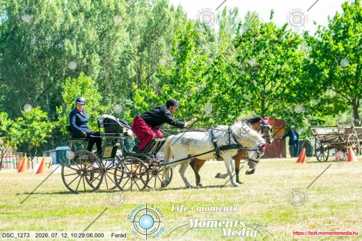 Mintakép 20260712-480
