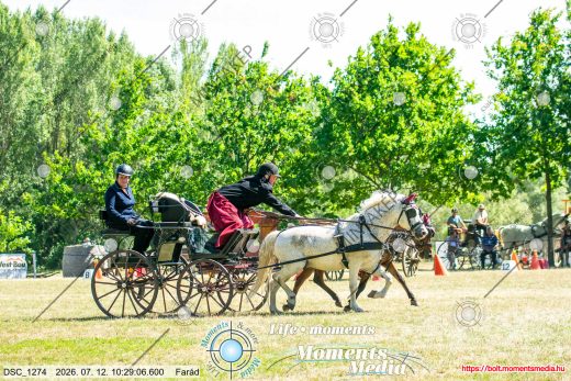 Mintakép 20260712-481