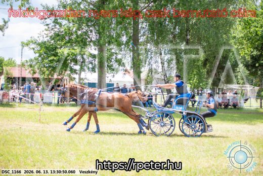 Mintakép 20260613-993