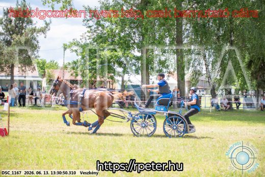 Mintakép 20260613-994