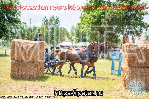 Mintakép 20260613-995