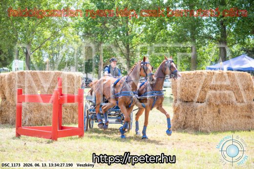 Mintakép 20260613-1000