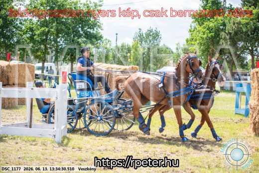Mintakép 20260613-1004