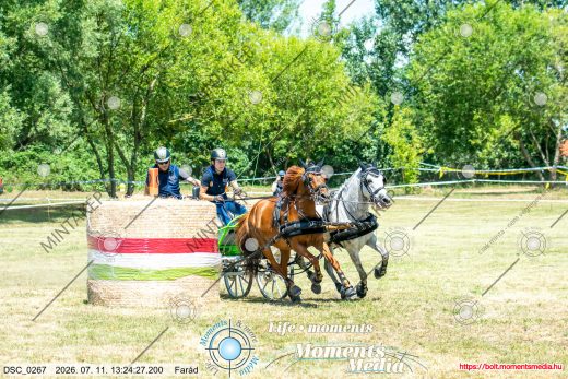 Mintakép 20260711-811
