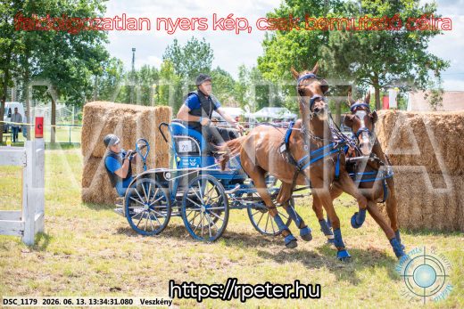 Mintakép 20260613-1006