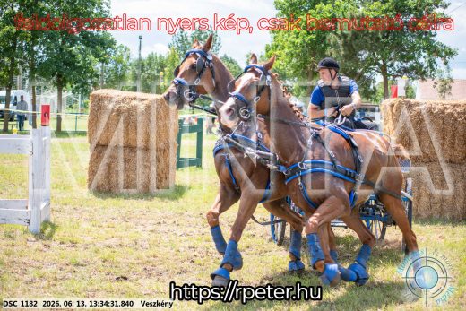 Mintakép 20260613-1009