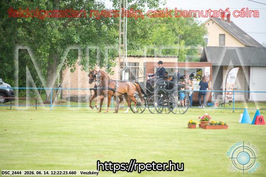 Mintakép 20260614-336