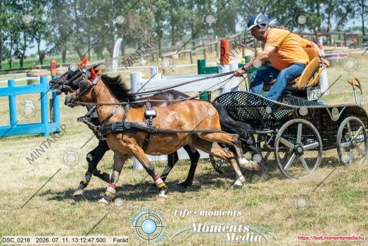 Mintakép 20260711-832