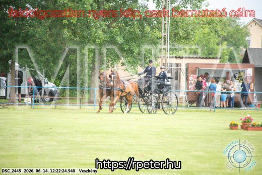 Mintakép 20260614-337