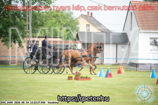 Mintakép 20260614-338