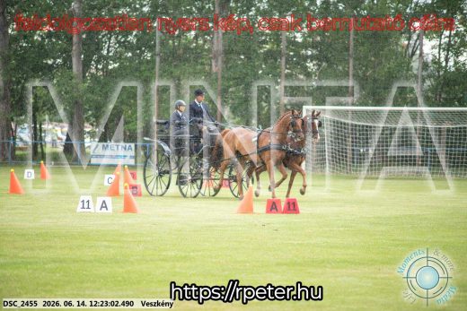Mintakép 20260614-339
