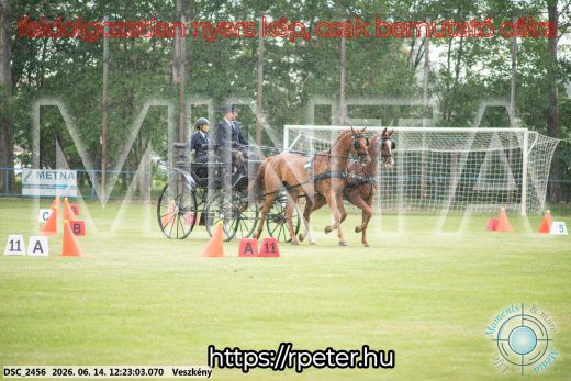 Mintakép 20260614-340