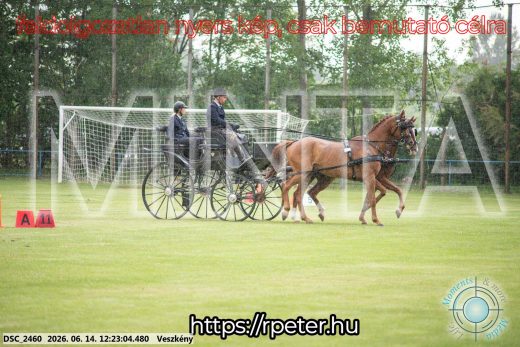 Mintakép 20260614-341