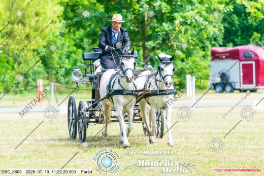 Mintakép 20260710-775