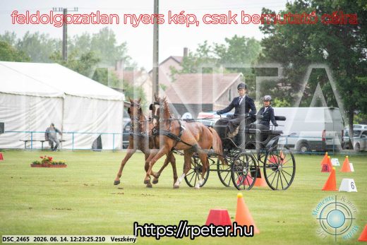 Mintakép 20260614-346