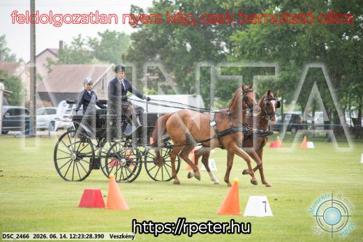 Mintakép 20260614-347
