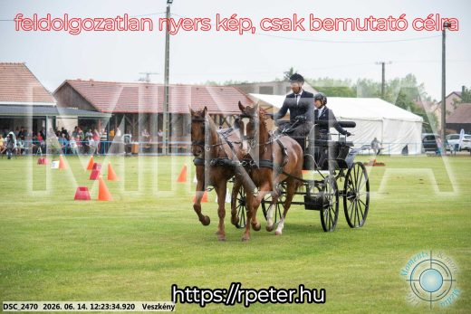 Mintakép 20260614-349
