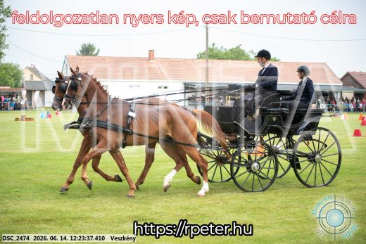 Mintakép 20260614-352
