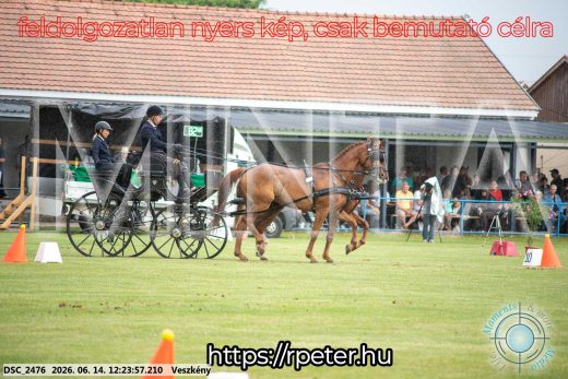 Mintakép 20260614-354