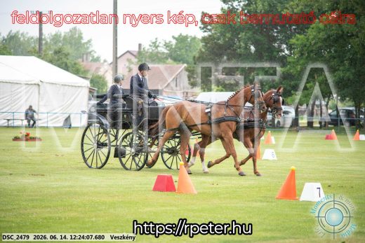 Mintakép 20260614-355
