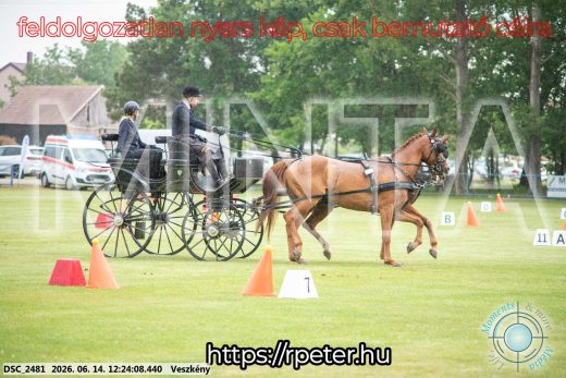Mintakép 20260614-356