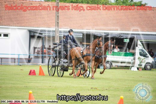 Mintakép 20260614-364