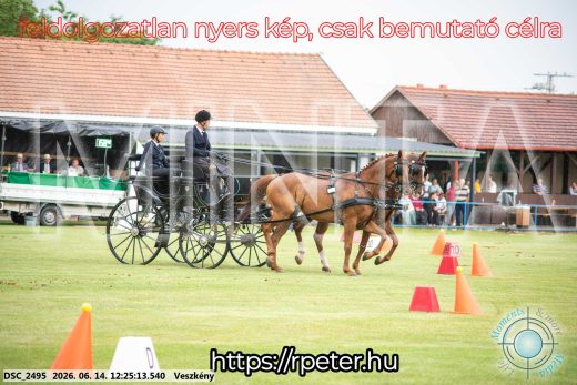 Mintakép 20260614-367