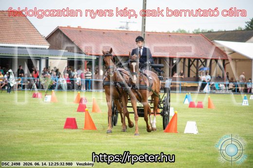 Mintakép 20260614-370