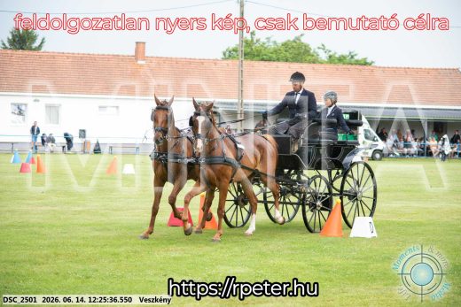 Mintakép 20260614-373