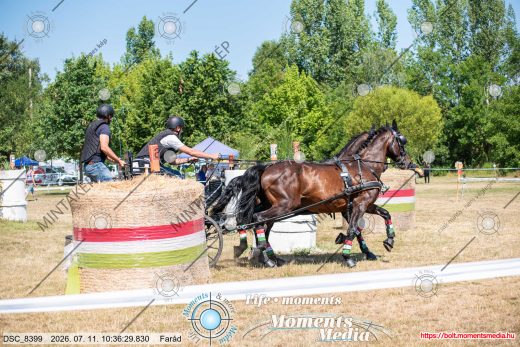 Mintakép 20260711-955