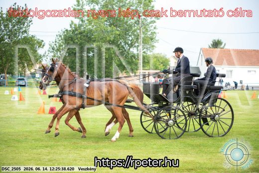 Mintakép 20260614-375