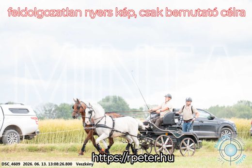 Mintakép 20260613-3