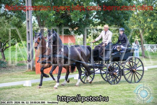 Mintakép 20260612-539