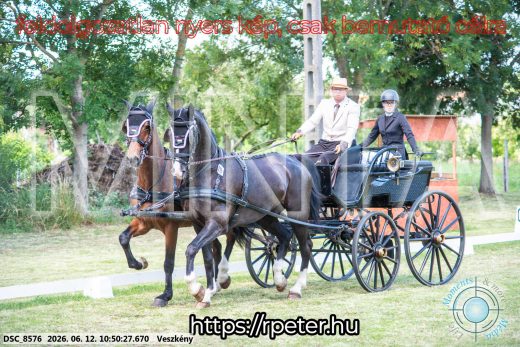 Mintakép 20260612-540