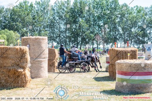 Mintakép 20260711-1023