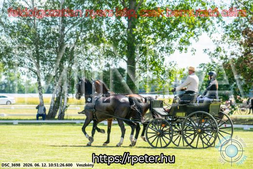 Mintakép 20260612-543