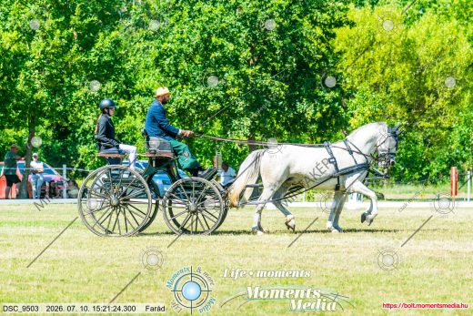 20260710-152124-DSC_9503.jpg