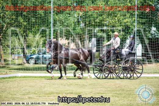 Mintakép 20260612-546