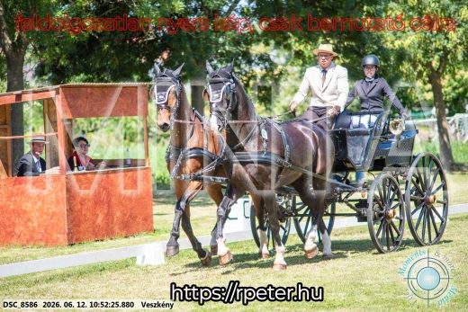 Mintakép 20260612-547