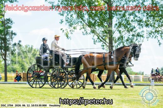 Mintakép 20260612-548