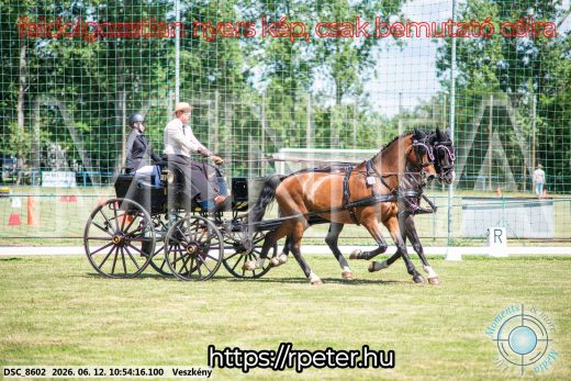 Mintakép 20260612-552