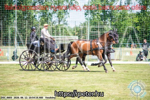 Mintakép 20260612-553