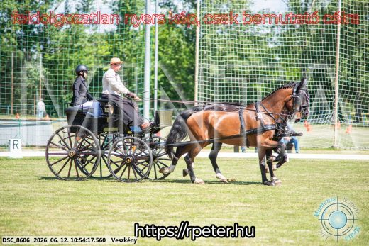 Mintakép 20260612-555