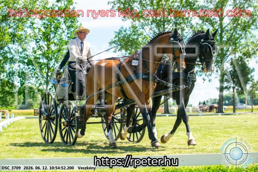 Mintakép 20260612-556