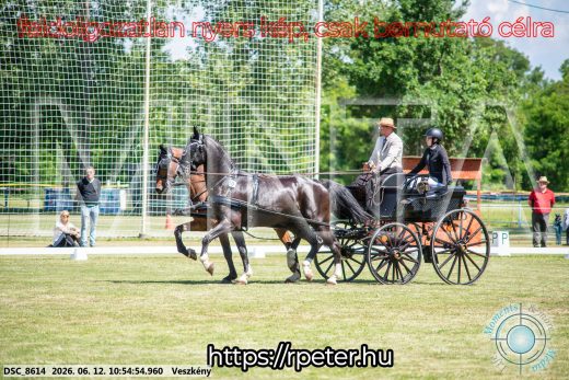 Mintakép 20260612-557