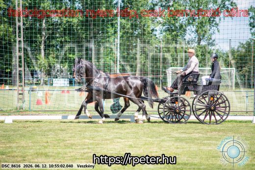 Mintakép 20260612-559