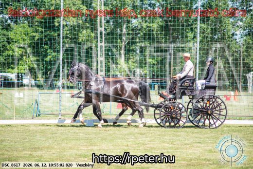 Mintakép 20260612-560