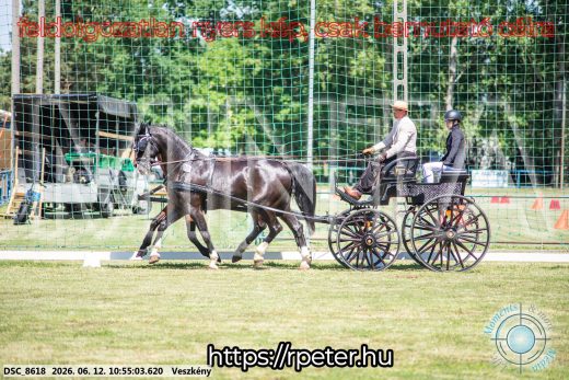Mintakép 20260612-561